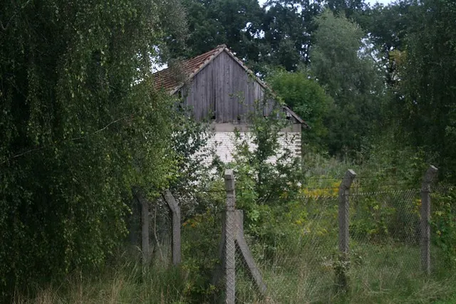 anniversary in spreewald