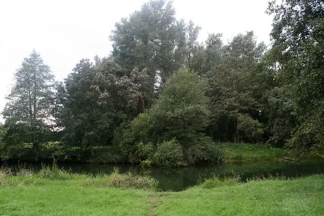 anniversary in spreewald