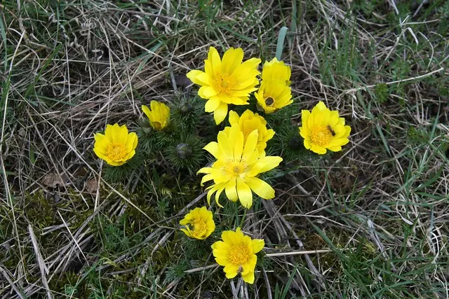 easter in mallnow