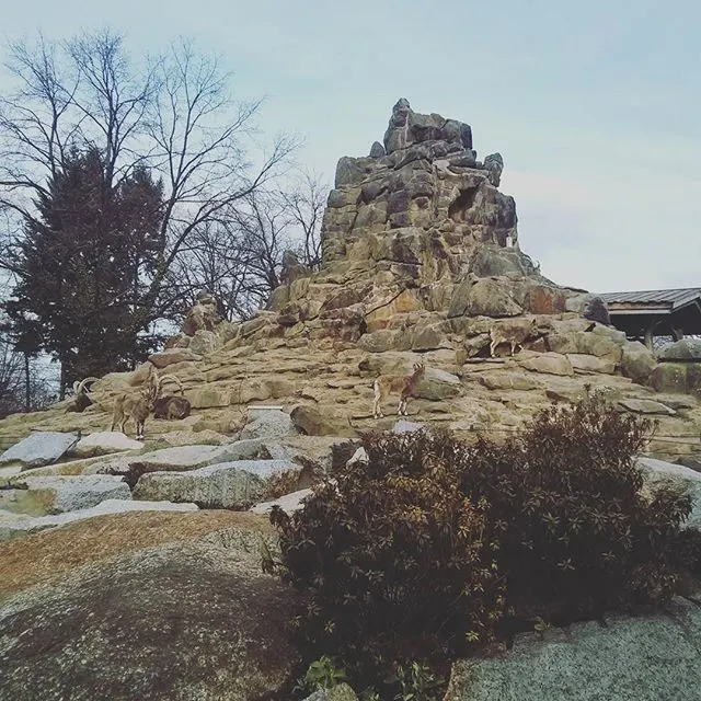 instagram!