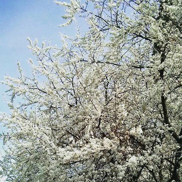 instagram!