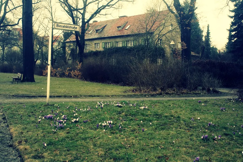 morning in the (zehlen)dorf