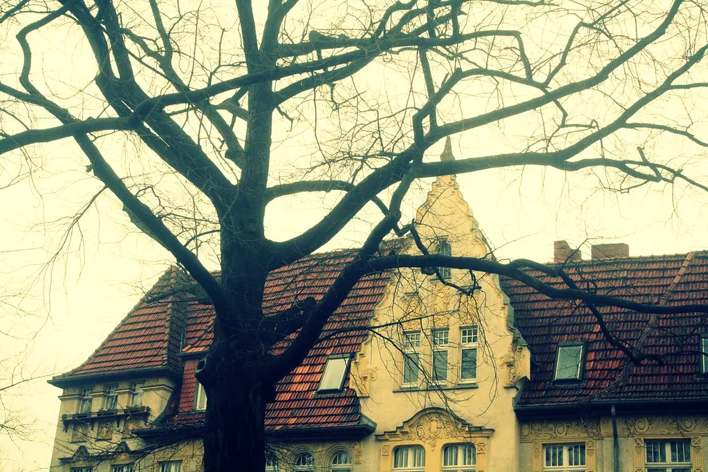 morning in the (zehlen)dorf
