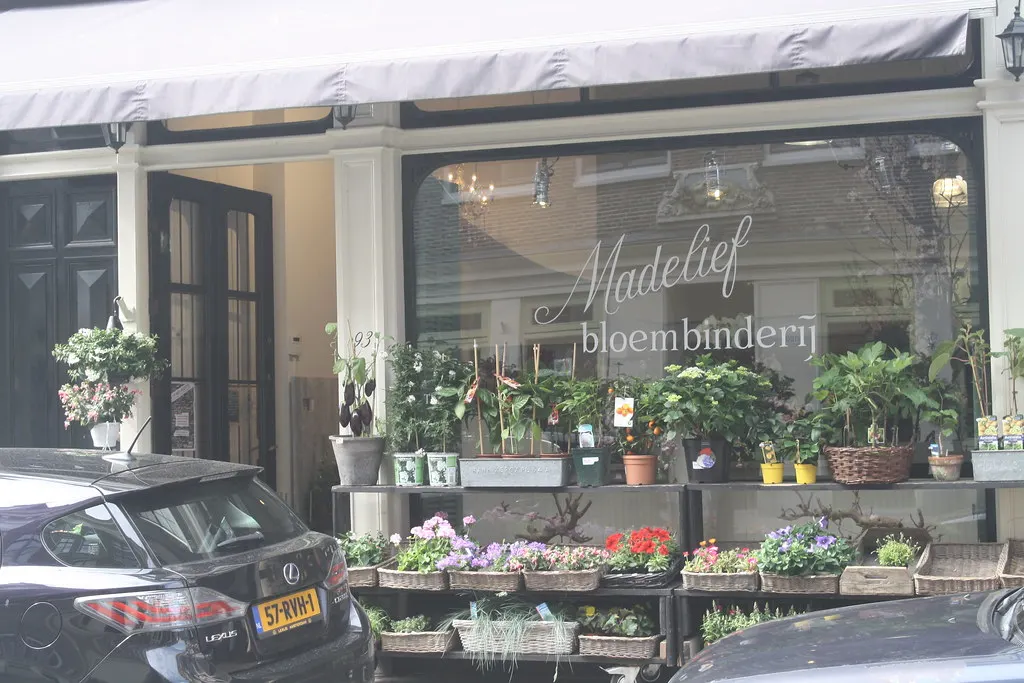 amsterdam adventure