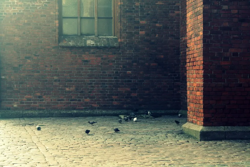 riga, latvia
