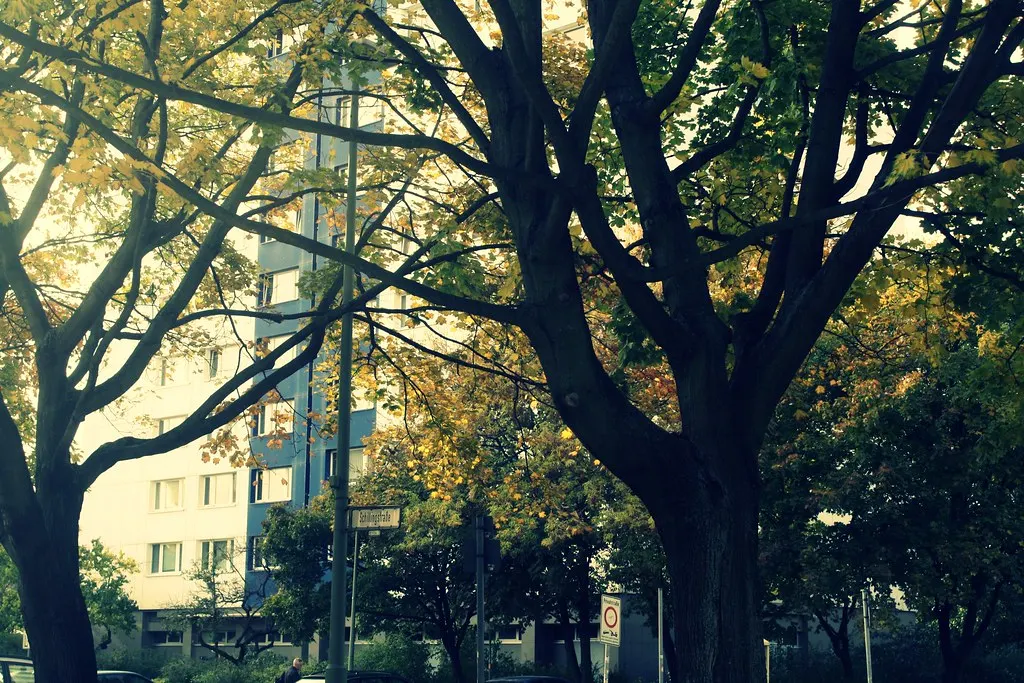 Shillingstraße Walk