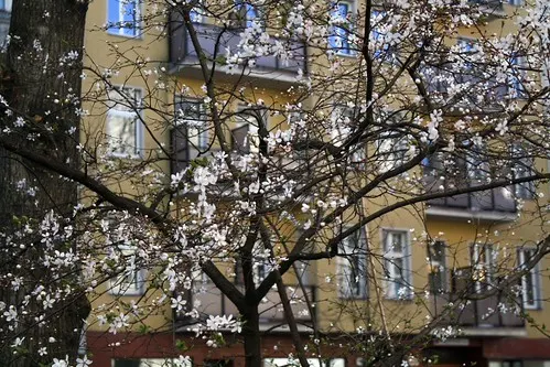 walk through kreuzkölln
