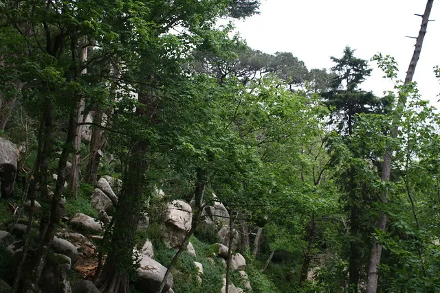 honeymoon in portugal