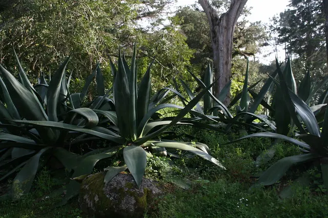 honeymoon in portugal