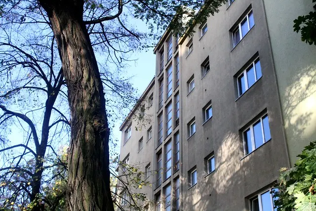 sunday in neukölln