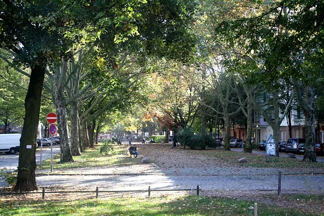 sunday in neukölln
