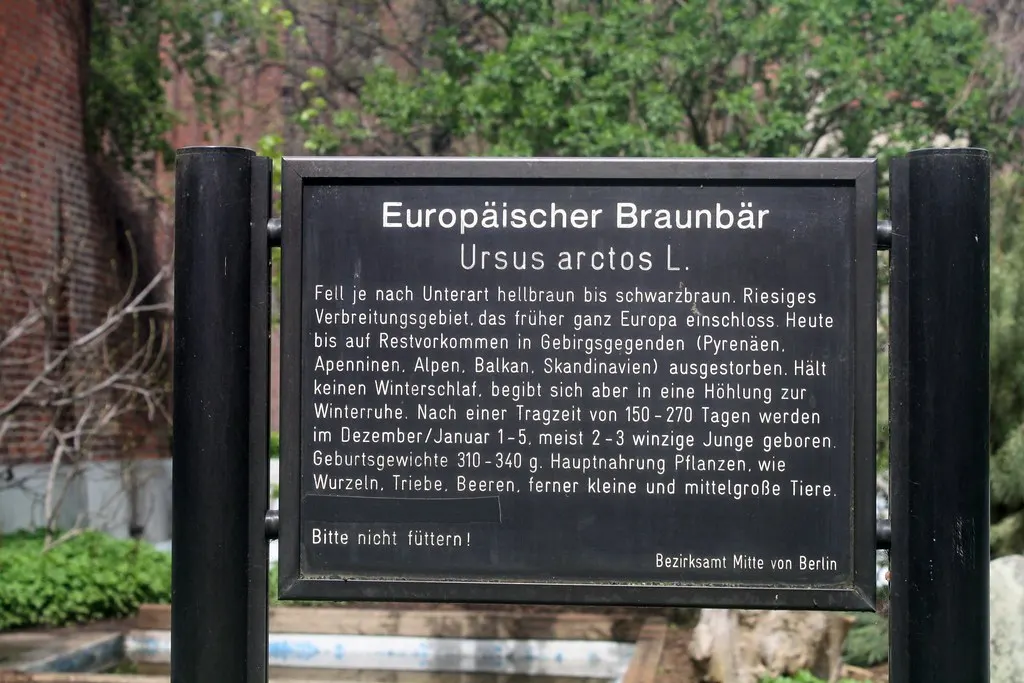 berlin bears