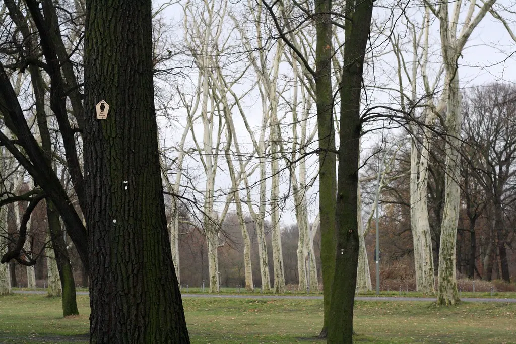 treptower park and hafen