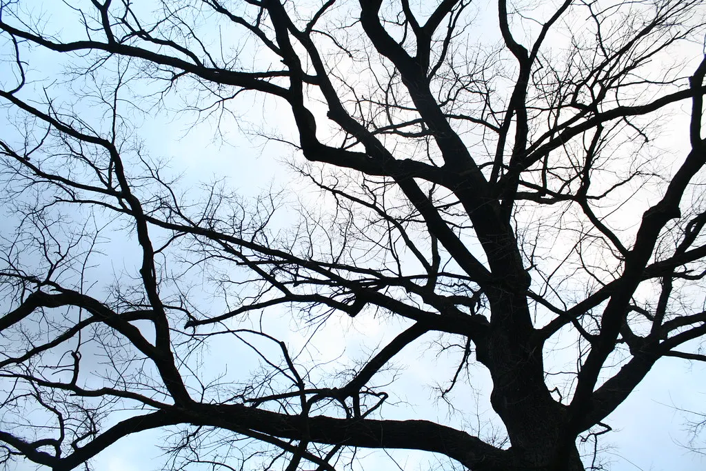 volkspark friedrichshain