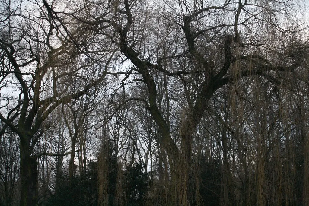 volkspark friedrichshain
