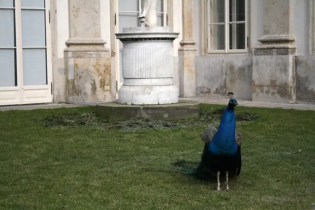 warsaw