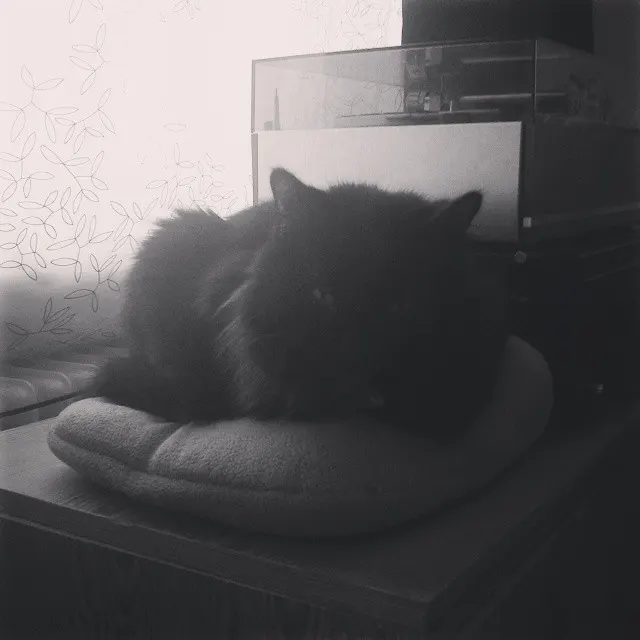 instagram!