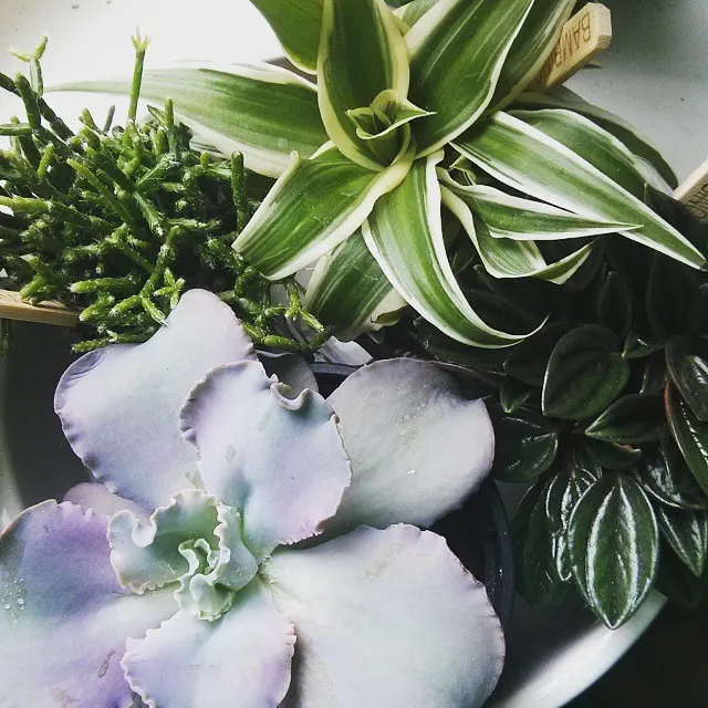 instagram!