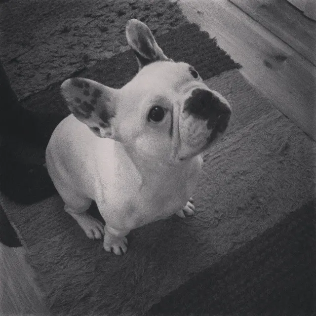 instagram!