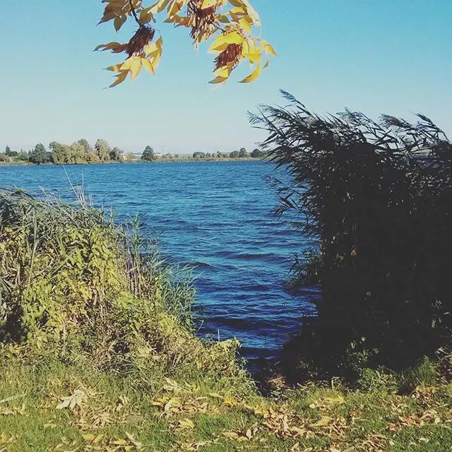 instagram!