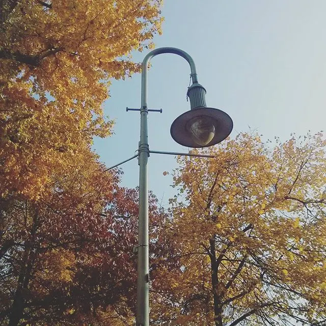 instagram!