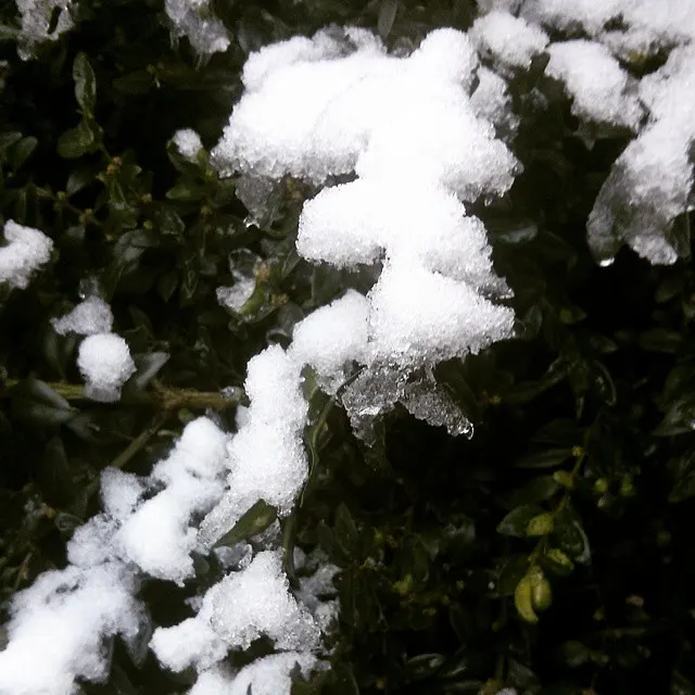 instagram!