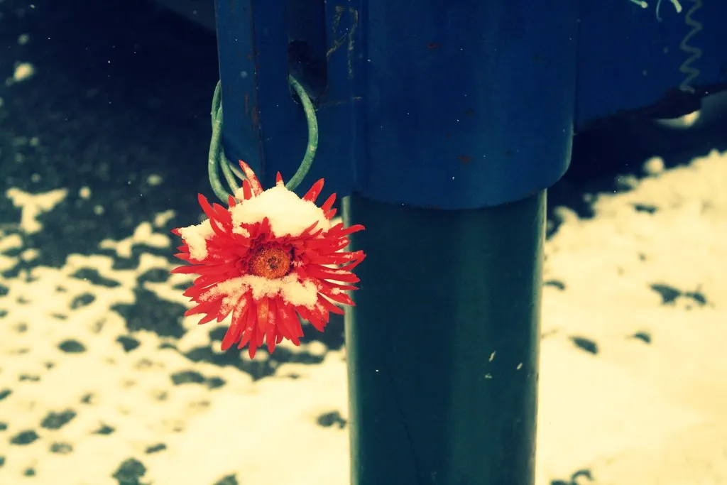 out and about in kreuzberg