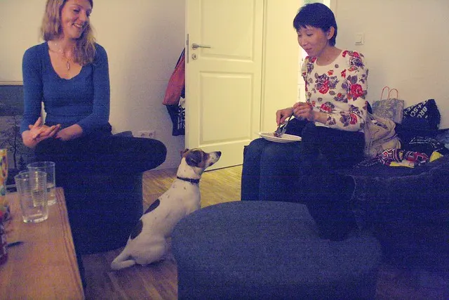 katja's birthday