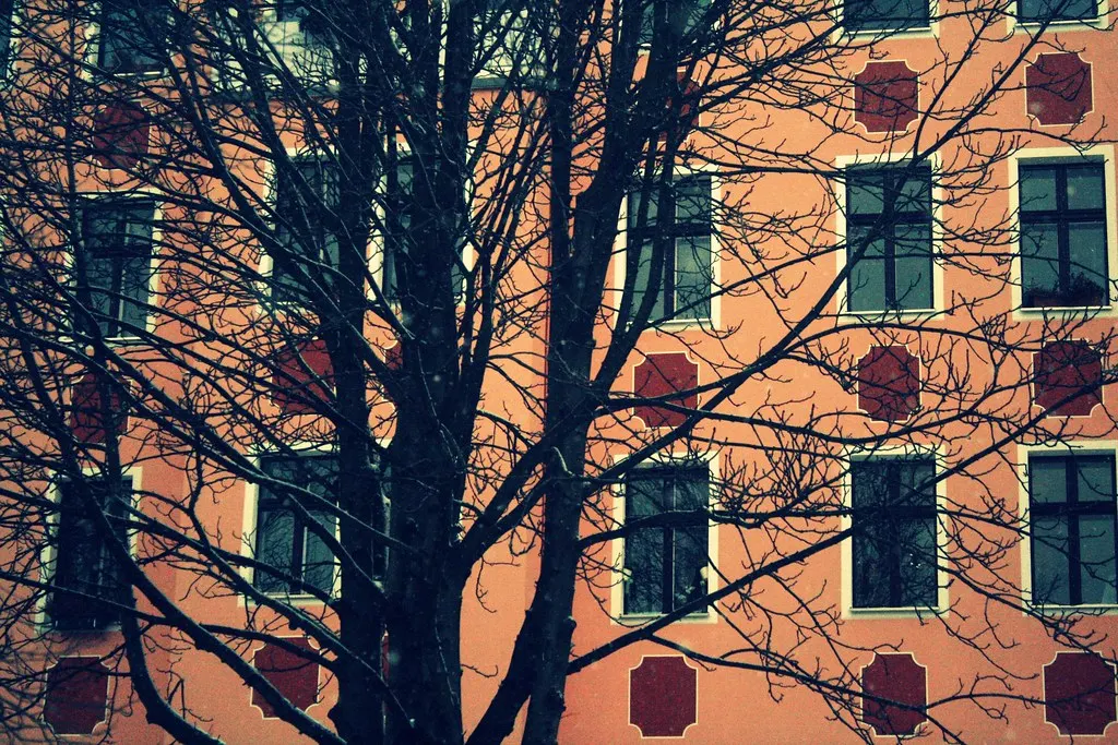 winter walk