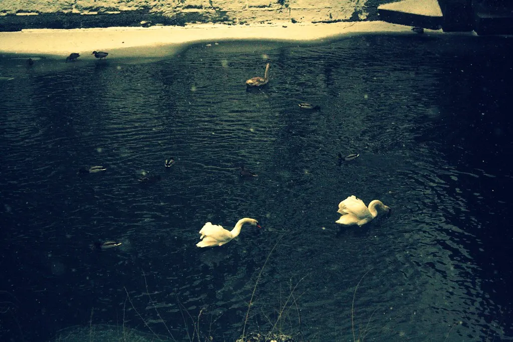winter walk