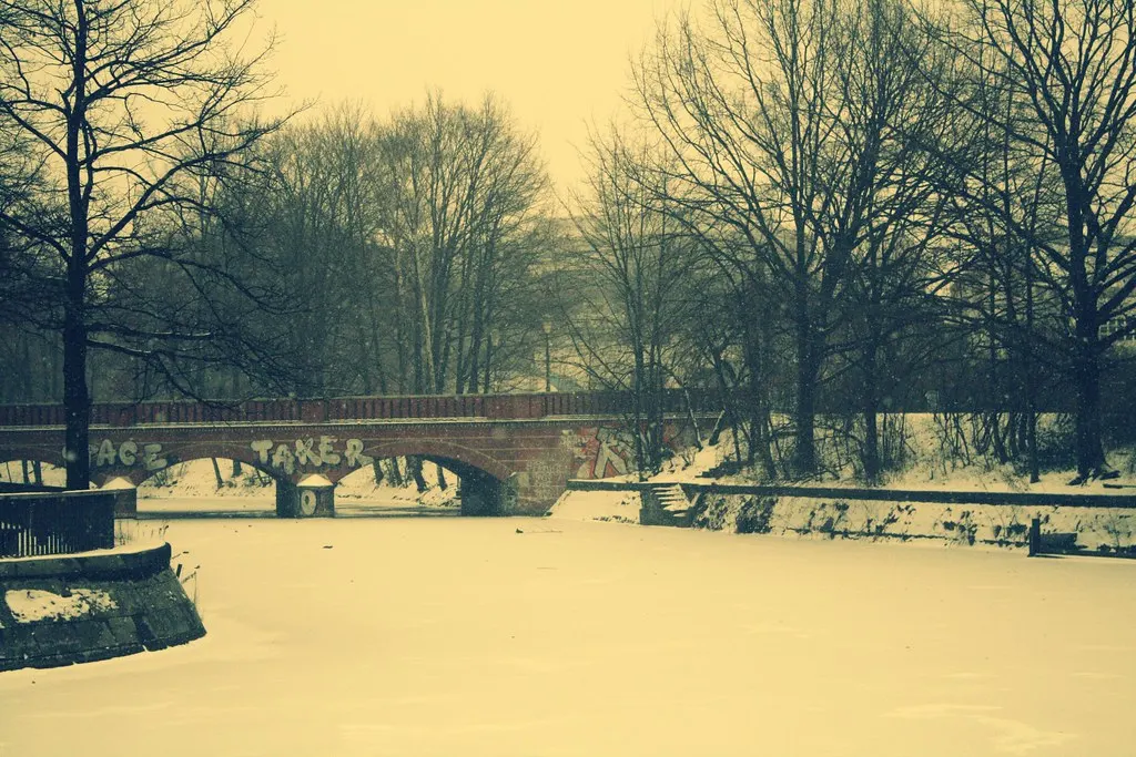 winter walk