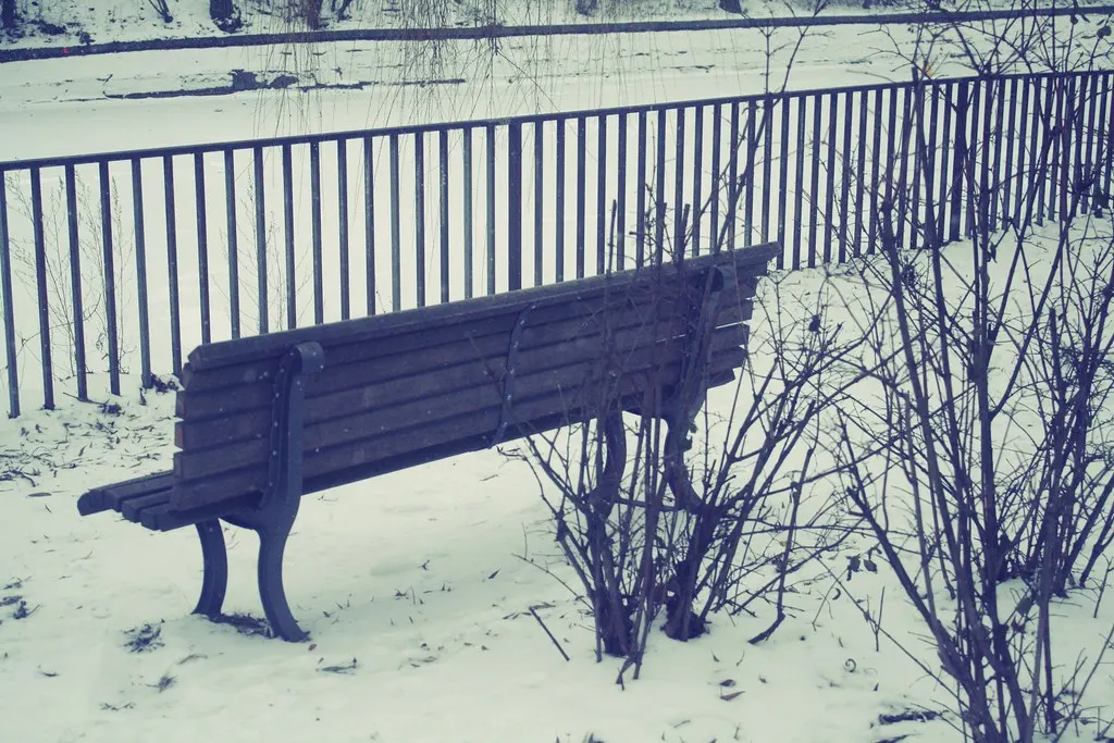 winter walk